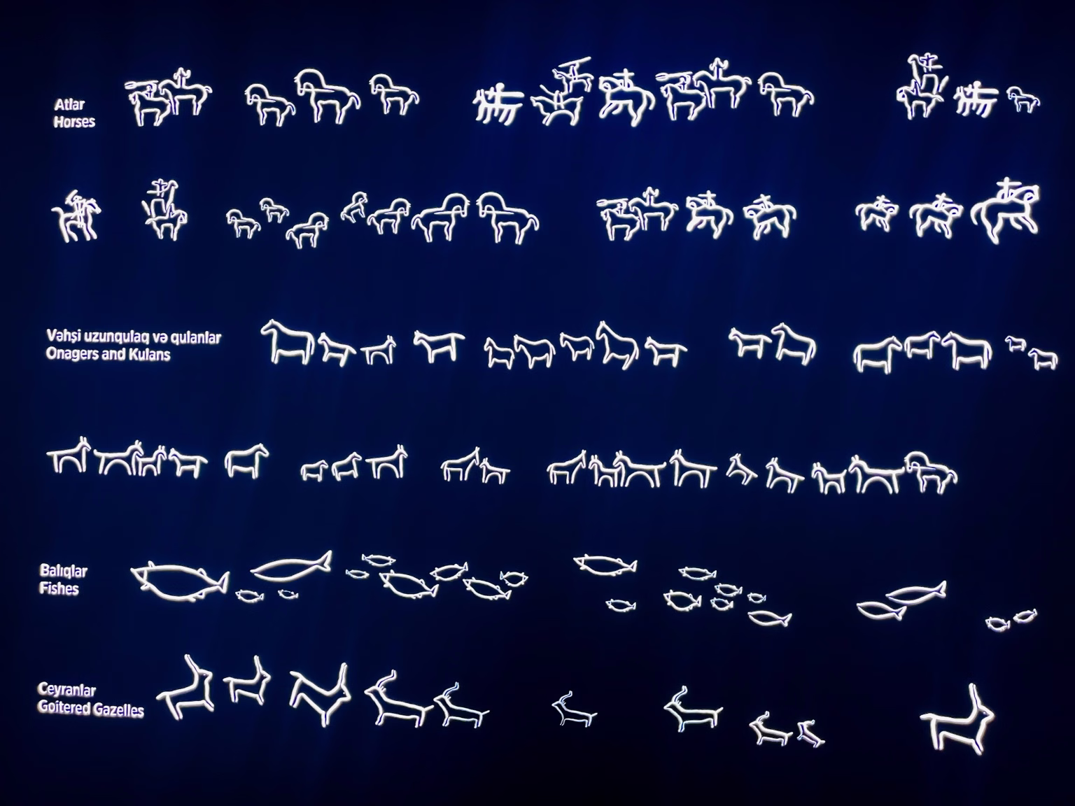 ゴブスタン遺跡博物館