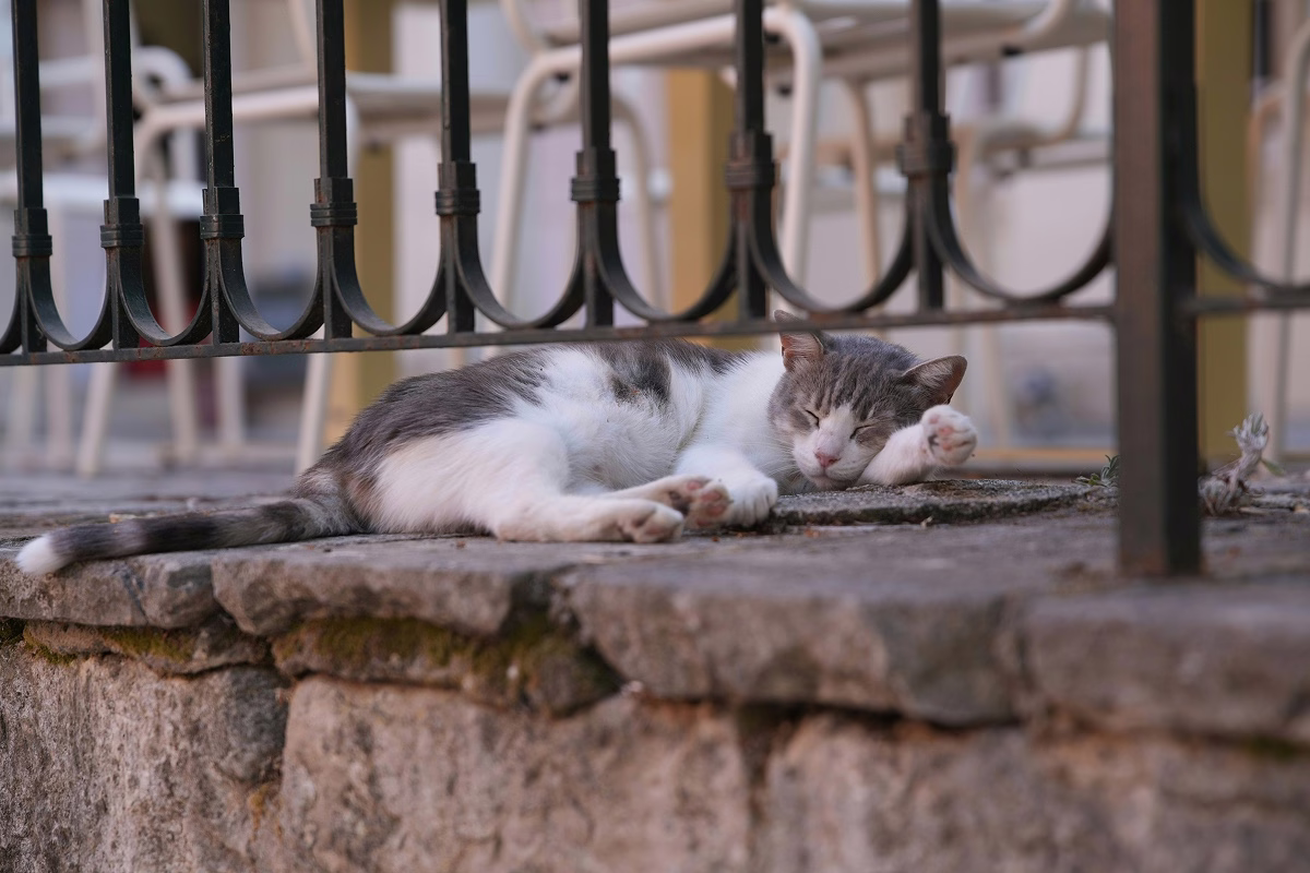 Travel guide section image